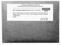 Image Associated With the Occurrence
